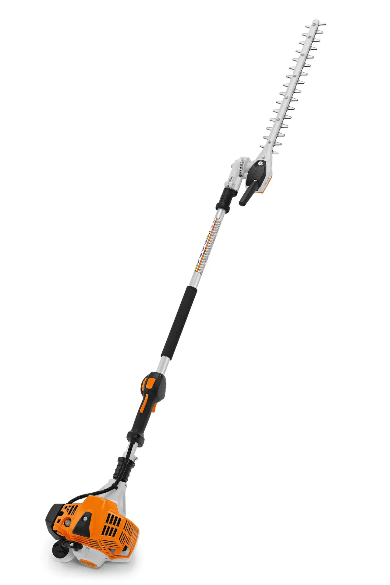TAILLE HAIE S/PERCHE hl 94 N°1